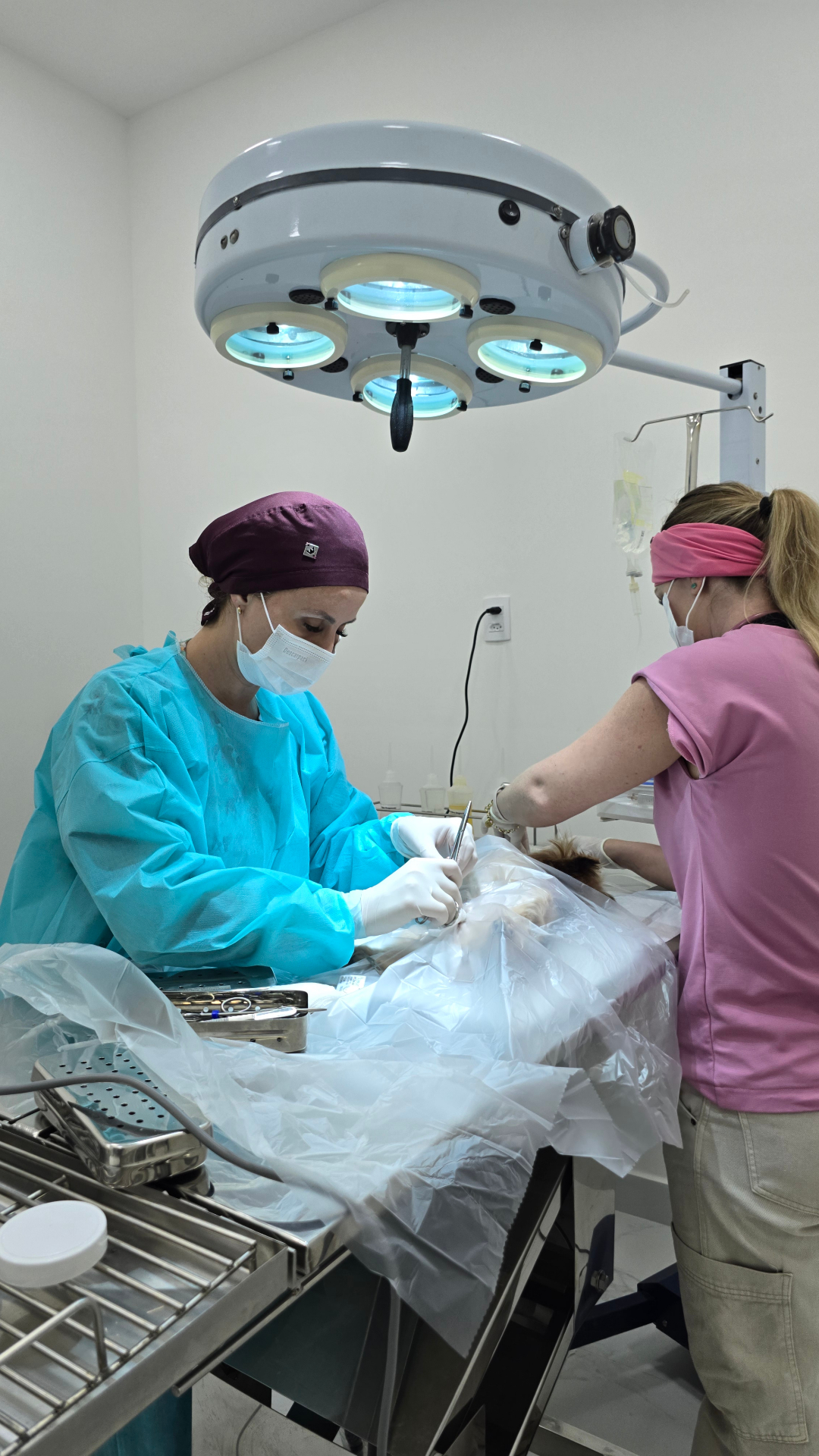 Cirurgia